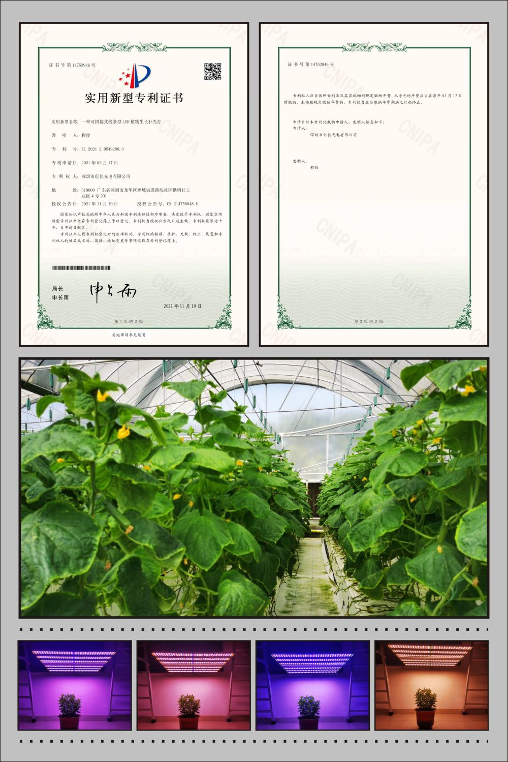 赢多多植物农场灯实用新型专利