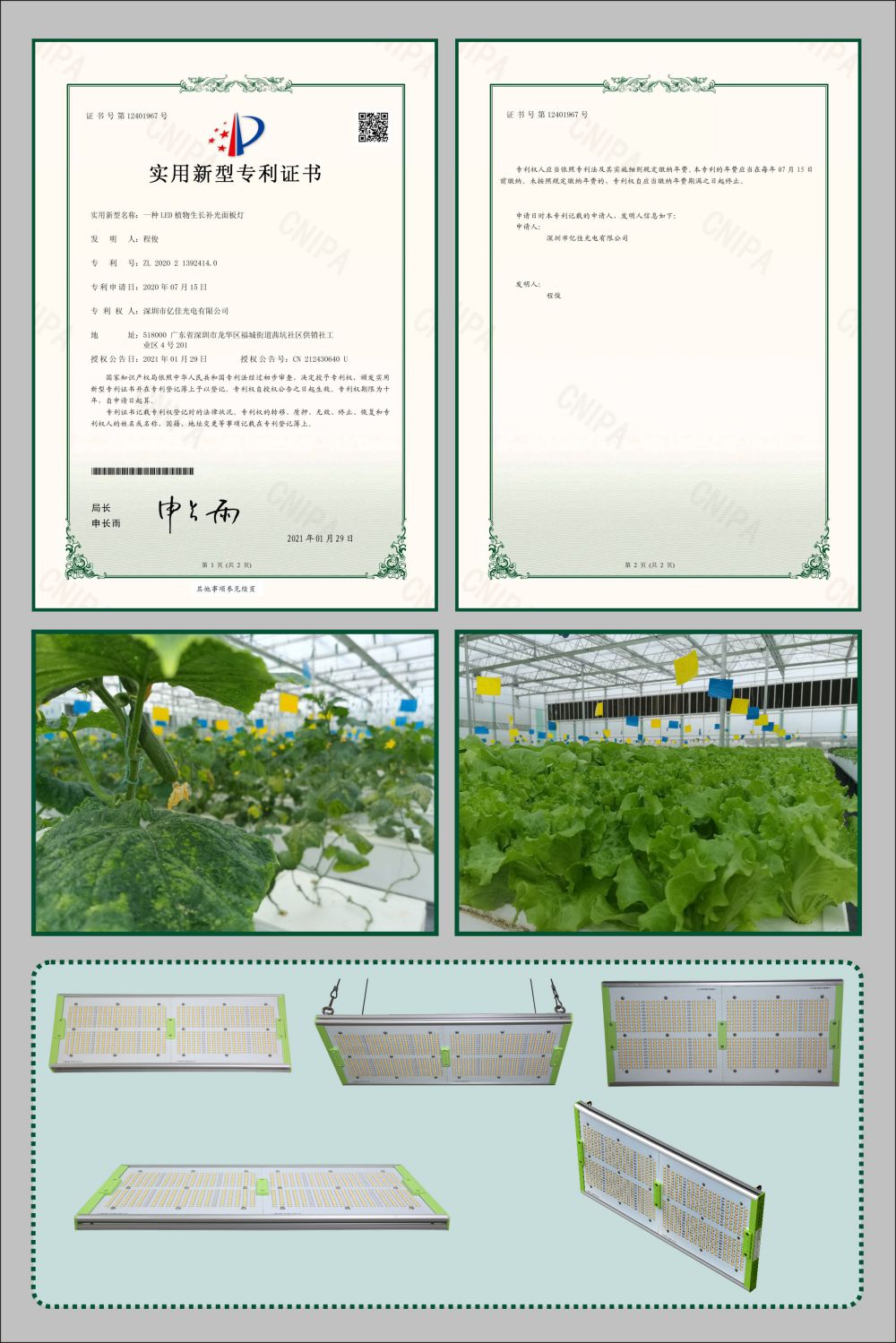 赢多多植物生长面板灯实用新型专利